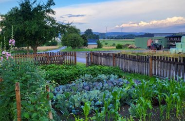 Morgenstimmung am Dorfgarten in Haserich, Kurvenkreis CochemZell