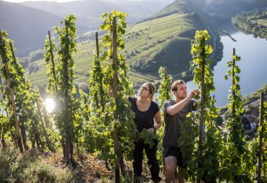 Angelina und Kilian vom Weingut Franzen im Bremmer Calmont.